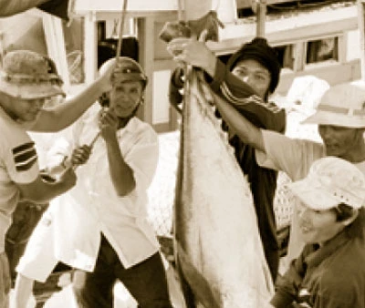 Niềm vui được mùa cá.