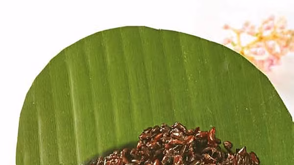 Nồng nàn một bát hương xuân