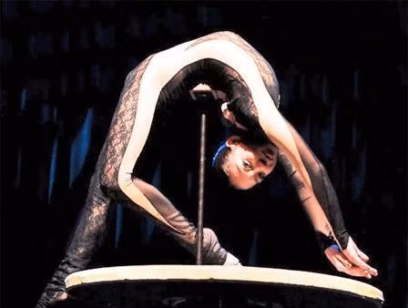 Liên hoan xiếc quốc tế.