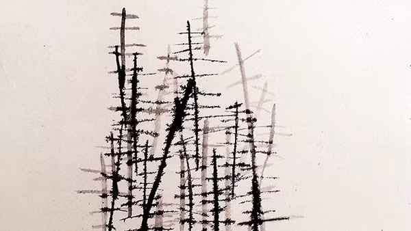 Minh họa: Tào Linh