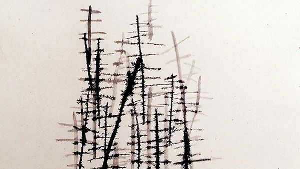 Minh họa: Tào Linh