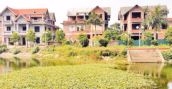 Dự án khu đô thị mới Cầu Bươu có diện tích gần 20 ha tại huyện Thanh Trì chỉ có một tòa nhà và vài biệt thự được xây dựng nhưng bỏ hoang. Ảnh: TRẦN KHÁNG