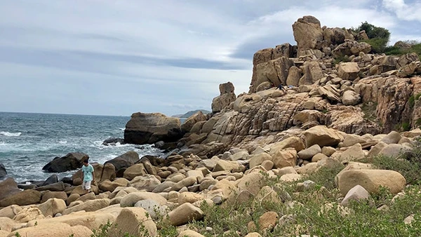 Bản hợp ca đá núi & đại dương