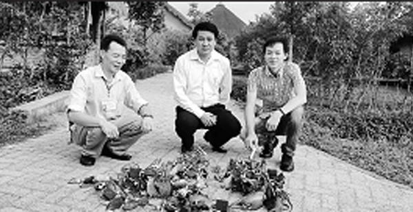 Ông Thiều (bên trái) bên ''chiến lợi phẩm'', tiêu diệt loài chuột lạ phá hại cây sâm Ngọc Linh.