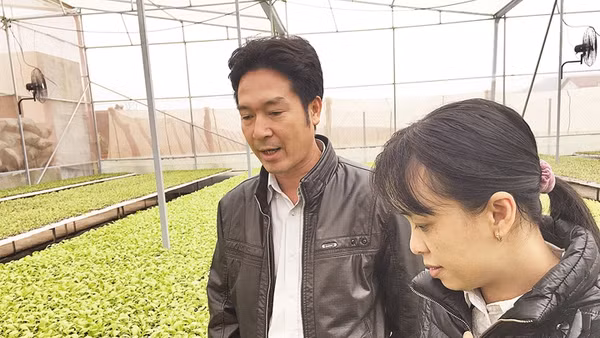 Anh Nguyễn Hồng Chương giới thiệu những bầu rau giống trong khu nhà kính.