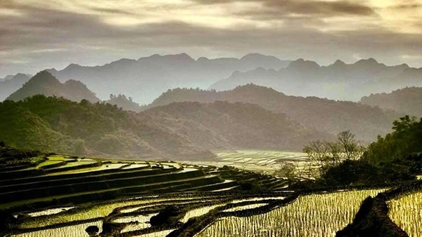 Những cánh ruộng bậc thang tạo nên những cung bậc mềm mại cho cảnh sắc. Ảnh: ĐỖ MỸ LY