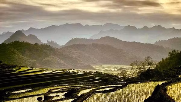 Những cánh ruộng bậc thang tạo nên những cung bậc mềm mại cho cảnh sắc. Ảnh: ĐỖ MỸ LY