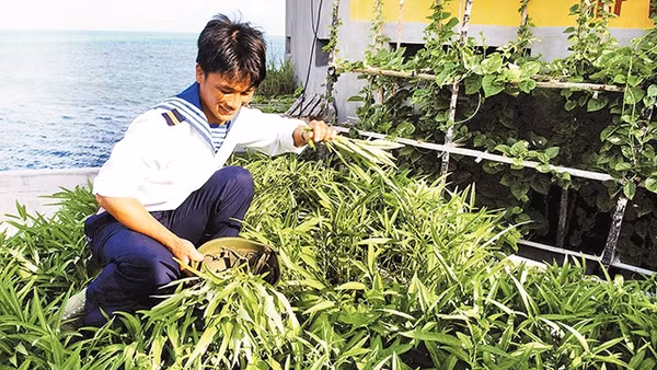 Chiến sĩ Trường Sa chăm sóc vườn rau xanh.