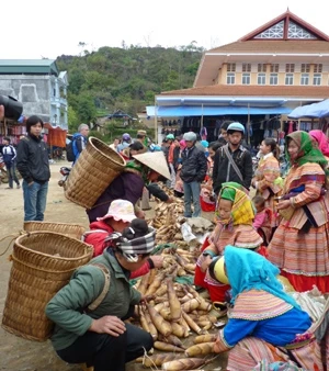 Hương sắc ba miền 