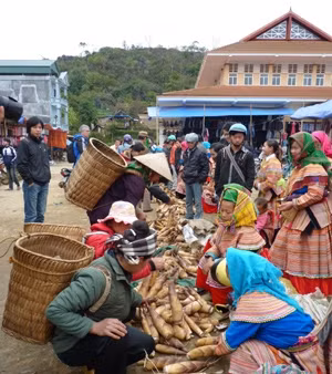 Hương sắc ba miền 