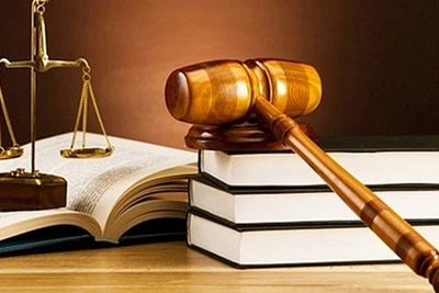 Ảnh minh họa. (Nguồn: TTXVN)