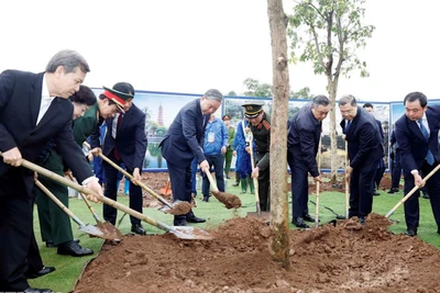Tổng Bí thư Tô Lâm và các đại biểu tham gia trồng cây tại Lễ phát động “Tết trồng cây đời đời nhớ ơn Bác Hồ” Xuân Bính Ngọ 2026. (Ảnh: Thống Nhất/TTXVN)