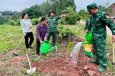 Cán bộ chiến sĩ Đồn biên phòng cửa khẩu Chi Ma, tỉnh Lạng Sơn cùng nhân dân trồng ổi tại các vườn mẫu.