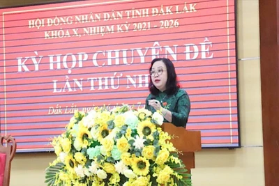 Phó Bí thư Thường trực Tỉnh ủy, Chủ tịch Hội đồng nhân dân tỉnh Đắk Lắk Cao Thị Hòa An phát biểu tại kỳ họp.