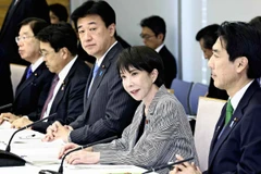 [Video] Nhật Bản tăng cường xử lý nghiêm người nước ngoài phạm pháp 