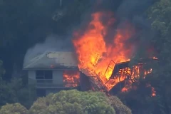[Video] 70 đám cháy tàn phá New South Wales, Australia kích hoạt cứu trợ khẩn cấp