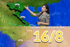 [Video] Dự báo thời tiết đêm nay và ngày mai 16/8/2025: Mưa dông tại cả 3 miền