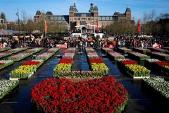 [Video] Điểm đặc biệt của lễ hội hoa Tulip Hà Lan 2026