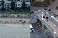 [Video] Australia ngăn chặn âm mưu bạo lực mới sau vụ thảm sát ở Bondi