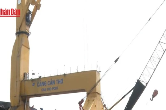 [Video] Thiếu hạ tầng logistics khiến cảng biển Cần Thơ gặp khó 