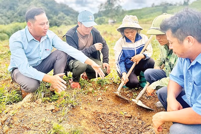 Lãnh đạo xã Tìa Dình hướng dẫn nông dân cách chăm sóc cây cà-phê được triển khai theo mô hình hỗ trợ sản xuất từ chương trình mục tiêu quốc gia.