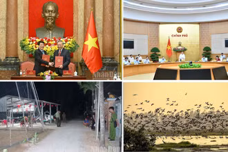 Tin nổi bật ngày 9/4: Bàn giao công tác giữa Tổng Bí thư, Chủ tịch nước Tô Lâm và nguyên Chủ tịch nước Lương Cường; Cuộc họp của Thường trực Đảng ủy Chính phủ và Thường trực Chính phủ