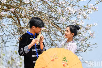 Ảnh minh họa: THÀNH ĐẠT 