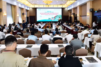 Quang cảnh diễn đàn “Sản xuất mắc-ca đạt tiêu chuẩn VietGAP gắn với liên kết tiêu thụ sản phẩm”
