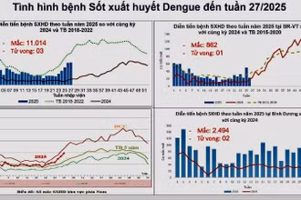 Thống kê diễn biến ca mắc sốt xuất huyết tại Thành phố Hồ Chí Minh.