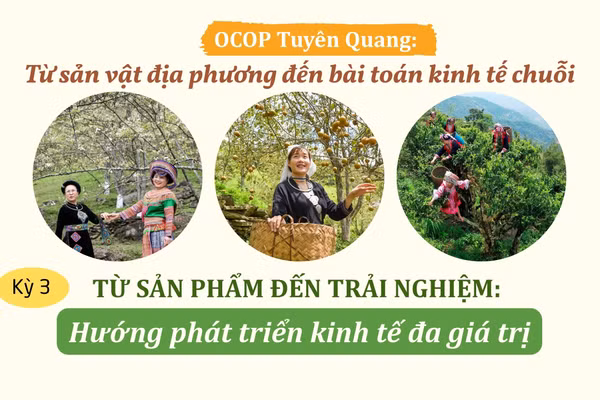 Từ sản phẩm đến trải nghiệm: Hướng phát triển kinh tế đa giá trị