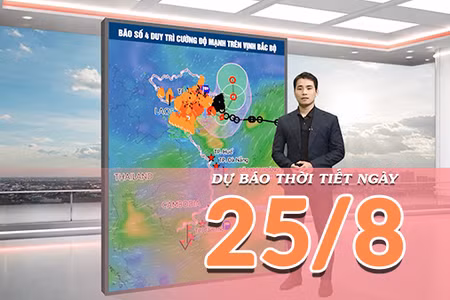 [Video] Dự báo thời tiết 25/8/2026: Bão số 4 tiếp tục gây mưa dông tại Bắc Bộ, Nam Trung Bộ có nắng nóng gay gắt trên 38 độ