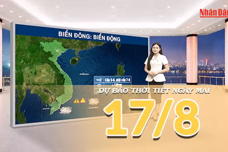 [Video] Dự báo thời tiết đêm nay và ngày mai 17/8/2026: Bắc Bộ đón mưa lớn, Trung Bộ nắng nóng 