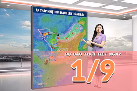 [Video] Dự báo thời tiết ngày 1/9/2026: Áp thấp nhiệt đới mạnh lên thành bão, Bắc Bộ nắng nóng, Trung Bộ mưa dông