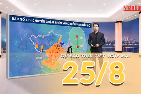 [Video] Dự báo thời tiết đêm nay và ngày mai 25/8/2026: Bão số 4 tiếp tục gây mưa lớn diện rộng tại Bắc Bộ và Bắc Trung Bộ