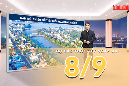 [Video] Dự báo thời tiết đêm nay và ngày mai 8/9/2026: Bắc Bộ còn mưa rải rác về đêm, Trung Bộ và Nam Bộ tăng mưa 