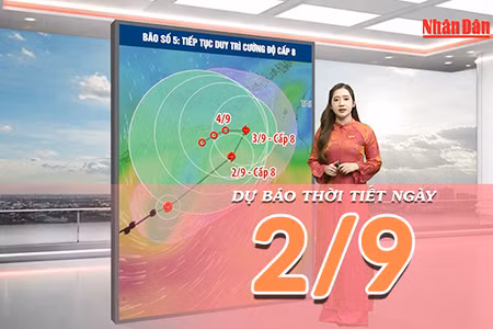 [Video] Dự báo thời tiết ngày 2/9/2026: Nắng nóng diện rộng tại Bắc Bộ và Trung Bộ, Nam Bộ có mưa dông về chiều tối