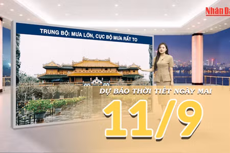 [Video] Dự báo thời tiết đêm nay và ngày mai 11/9/2026: Không khí lạnh tăng cường, mưa lớn diện rộng trên cả nước
