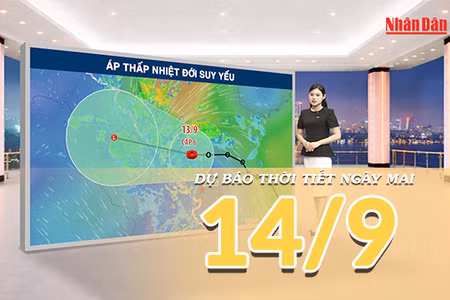 [Video] Dự báo thời tiết đêm nay và ngày mai 14/9/2026: Áp thấp nhiệt đới suy yếu, Trung Bộ tiếp tục mưa lớn