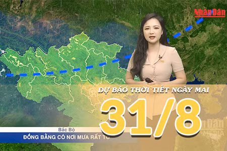[Video] Dự báo thời tiết đêm nay và ngày mai 31/8/2026: Mưa gia tăng ở Bắc Bộ, Trung Bộ thời tiết phân hóa rõ rệt 