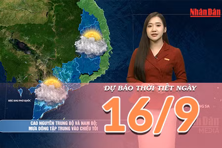 [Video] Dự báo thời tiết ngày 16/9/2026: Bắc Bộ mưa lớn kéo dài, Trung Bộ và Nam Bộ có mưa dông 