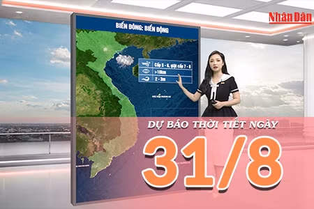[Video] Dự báo thời tiết ngày 31/8/2026: Bắc Bộ dịu mát, Trung Bộ mưa tăng về chiều tối 