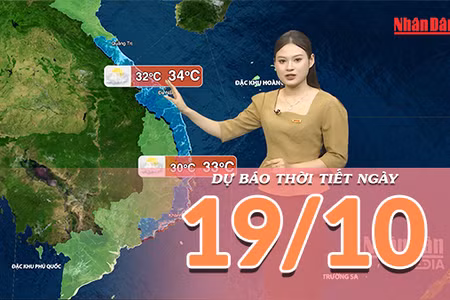 [Video] Dự báo thời tiết ngày 19/10/2026: Bắc Bộ trời nắng, Trung Bộ và Nam Bộ có nơi mưa lớn 
