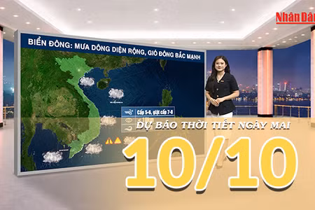 [Video] Dự báo thời tiết đêm nay và ngày mai 10/10/2026: Không khí lạnh tăng cường khiến Bắc Bộ chuyển mưa, Trung Bộ tiếp diễn mưa lớn