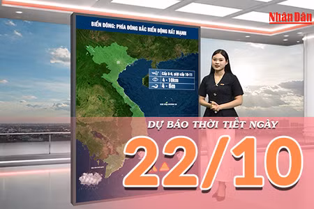 [Video] Dự báo thời tiết ngày 22/10/2026: Không khí lạnh tăng cường, miền Bắc nhiều mây, miền Trung có mưa 