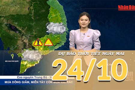 [Video] Dự báo thời tiết đêm nay và ngày mai 24/10/2026: Cả nước ít mưa, riêng miền Tây còn mưa dông 