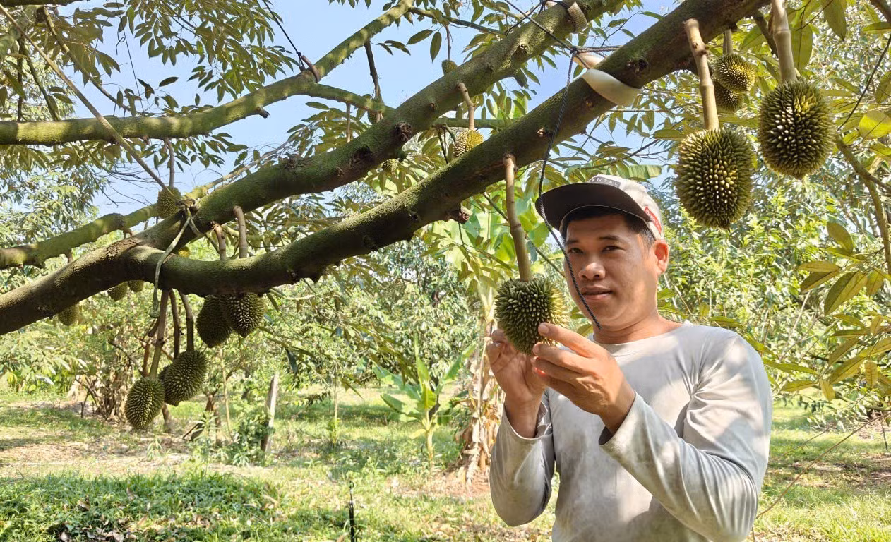 bai-13-anh-3-nguyen-thanh-nam.jpg
