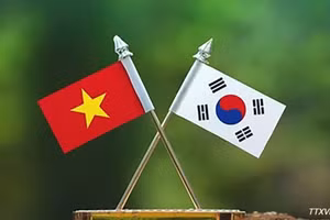 (Ảnh: TTXVN)