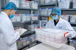 Trung tâm Giám định ADN (Viện Hàn lâm khoa học và Công nghệ Việt Nam) thực hiện xác định danh tính hài cốt liệt sĩ bằng phương pháp giám định ADN. (Ảnh: MINH DUY/nhandan.vn)