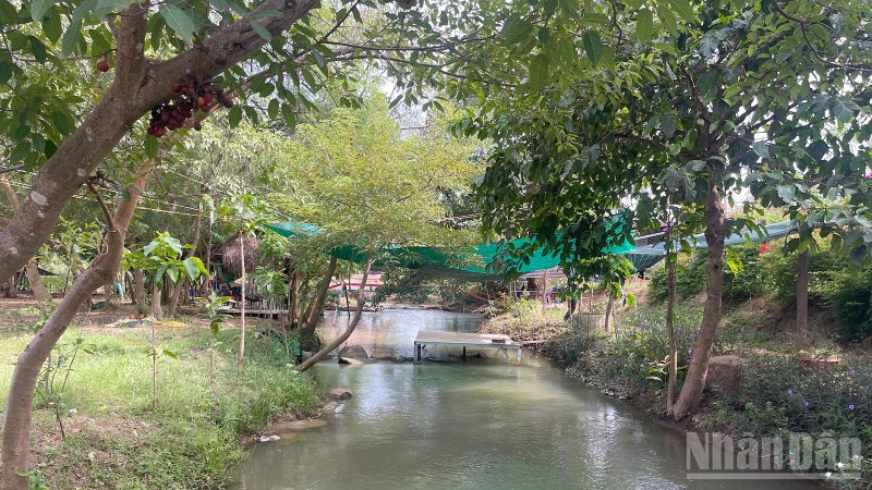 Dòng chảy thoát lũ hạ du hồ Sông Quao (xã Hàm Thuận Bắc) bị khu dịch vụ ăn uống lấn chiếm để bàn ghế xuống nước. ndo_br_img-0243-4922.jpg