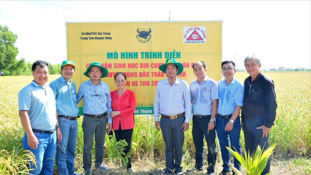 Mô hình trình diễn của công ty với nông dân c73aa8778a993dc76488-1176.jpg